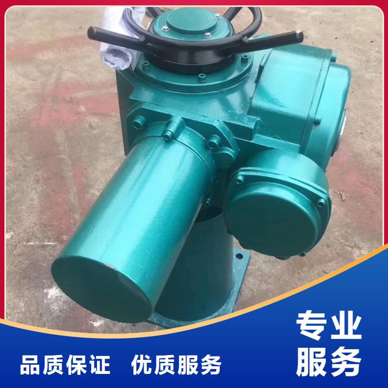 启闭机闸门直连启闭机老牌厂家