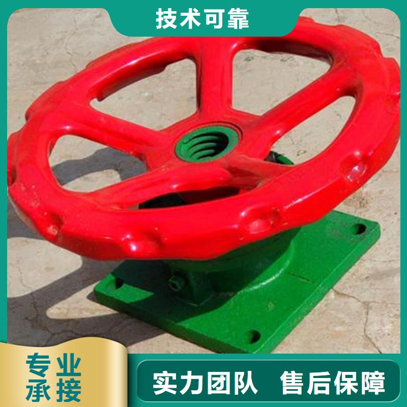 诚信经营QL型手电两用双吊点启闭机厂家