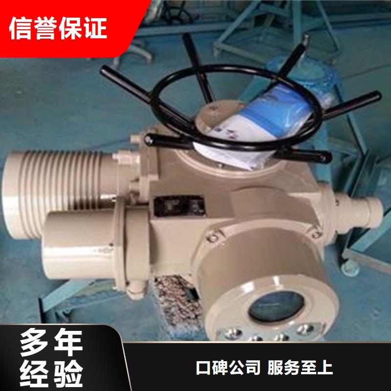 高品质双吊点手电两用启闭机厂商