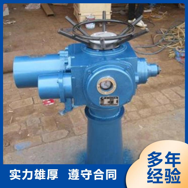 定制侧摇启闭机_诚信企业