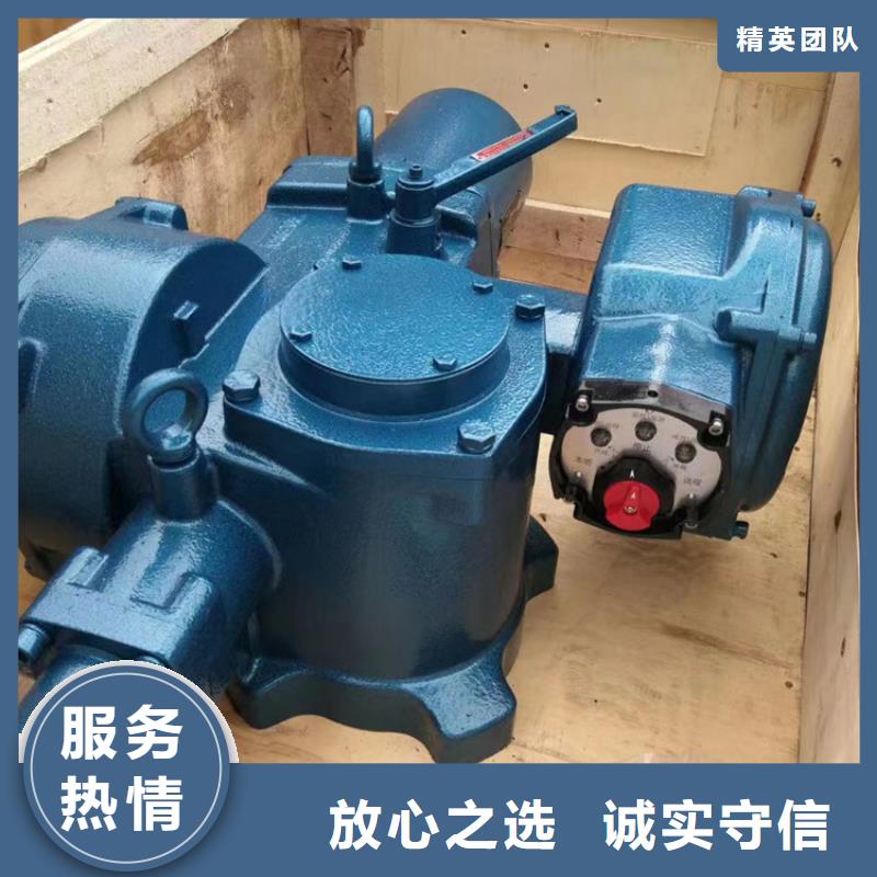 螺杆启闭机_按需定制