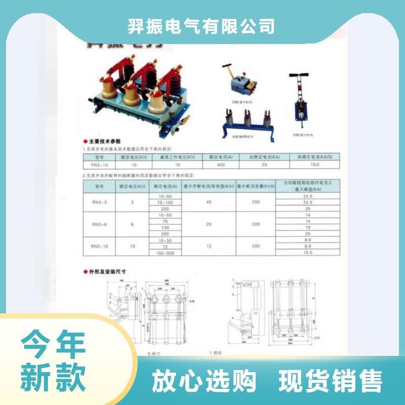 熔断器【真空断路器】发货迅速