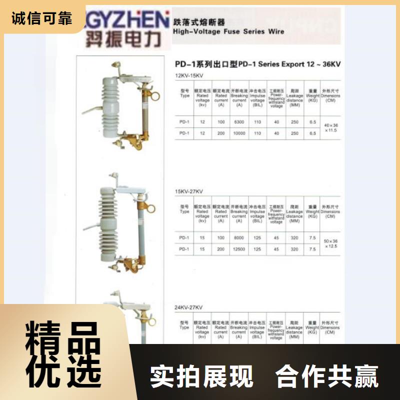 熔断器 高压隔离开关厂家多种场景适用