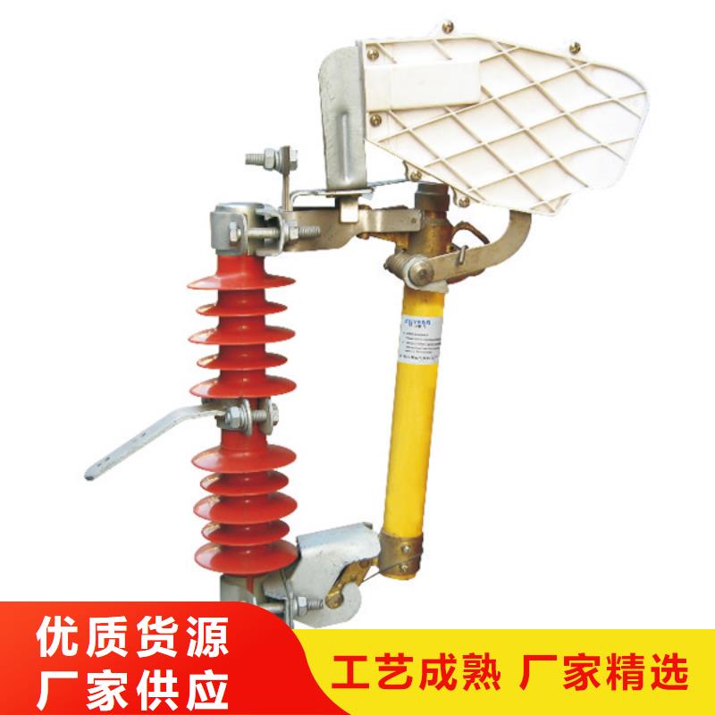 熔断器高压真空断路器好货有保障