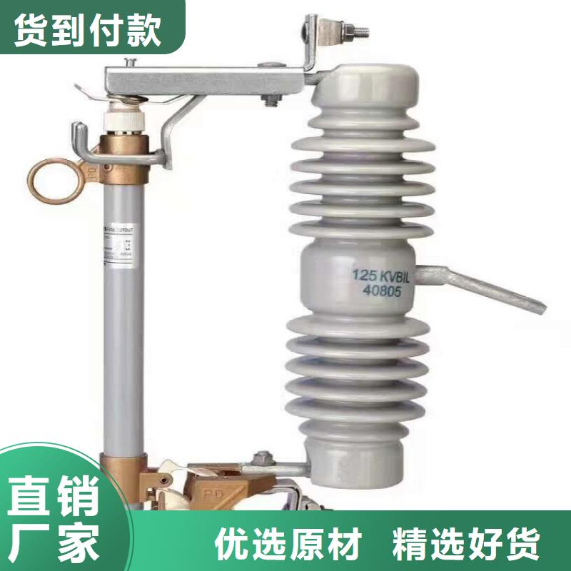 熔断器绝缘子厂家厂家直销省心省钱