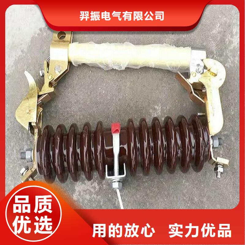 熔断器【真空断路器】真材实料