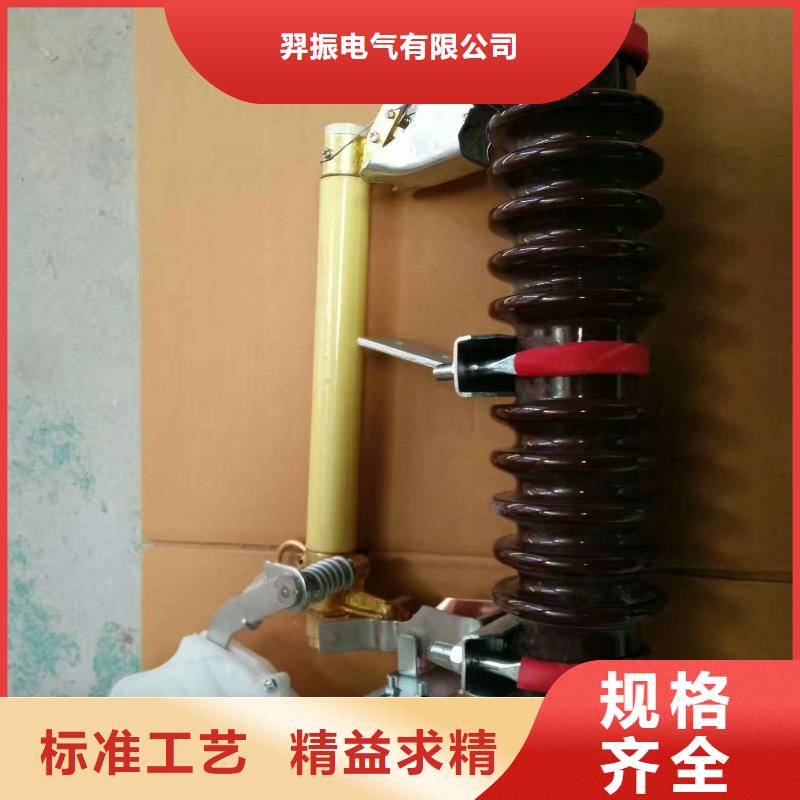 熔断器 35KV真空断路器用心做好细节