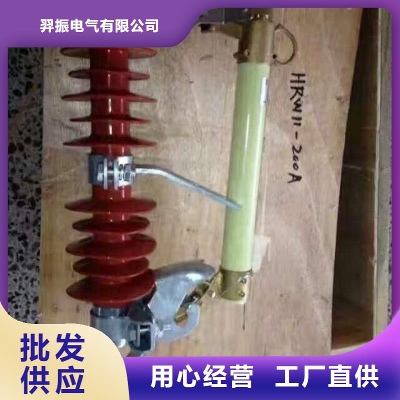 熔断器【真空断路器】真材实料