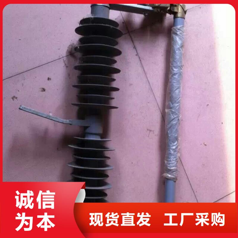 熔断器支柱绝缘子厂家经验丰富