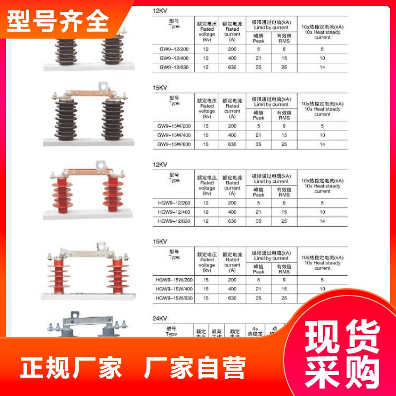 高压隔离开关厂家-视频-高压隔离开关厂家-羿振电气(广安市分公司)服务区域武胜|邻水|宜宾|绵阳|泸州|阿坝|雅安