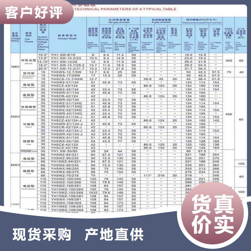 避雷器Y10W-96/232【浙江羿振电气有限公司】