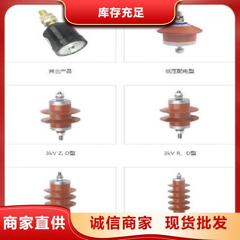 避雷器Y10W-96/232【浙江羿振电气有限公司】