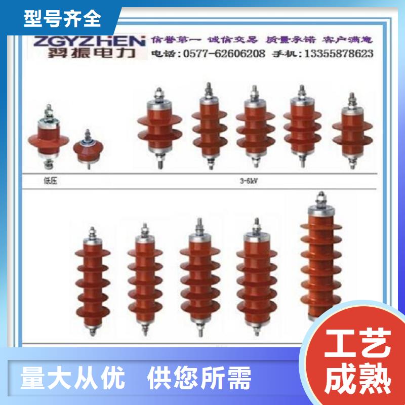 避雷器YH5WD1-13.5/31【浙江羿振电气有限公司】