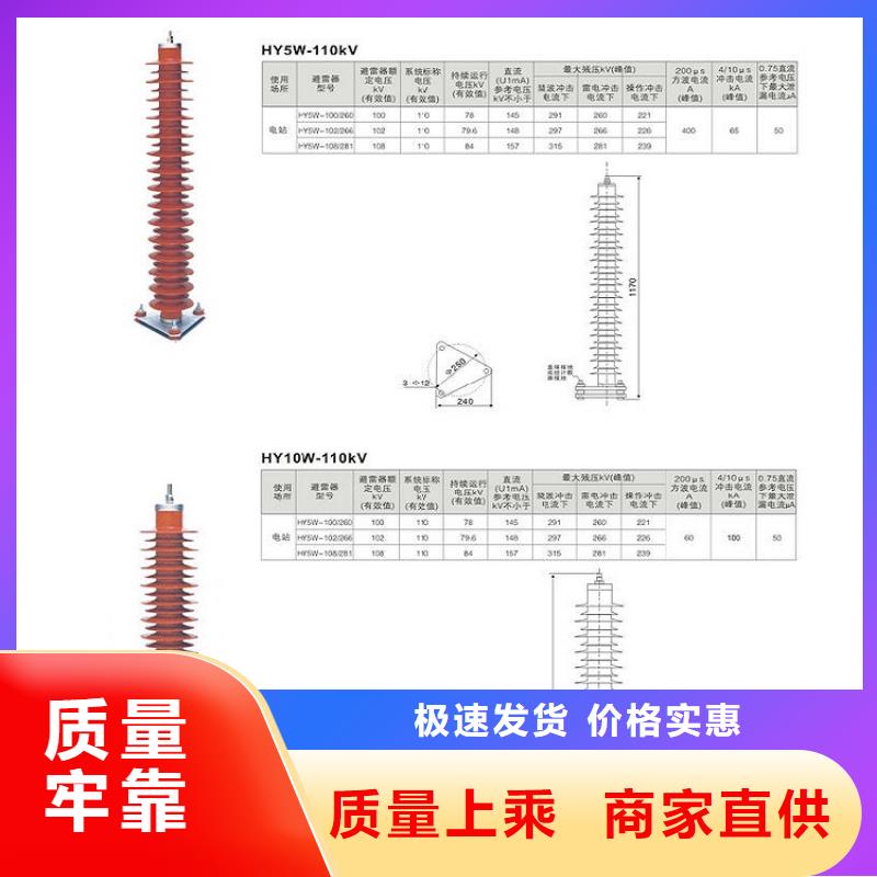 避雷器YH5WD1-13.5/31【浙江羿振电气有限公司】