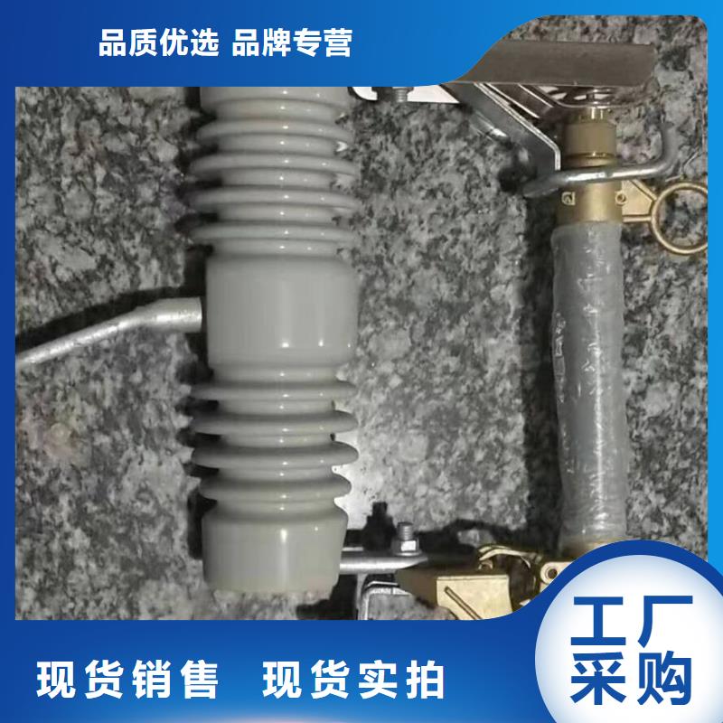 熔断器金属氧化物避雷器本地厂家值得信赖