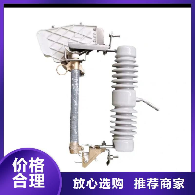 熔断器金属氧化物避雷器实力才是硬道理