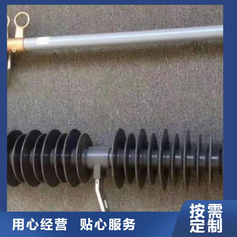 熔断器三相组合式避雷器懂您所需