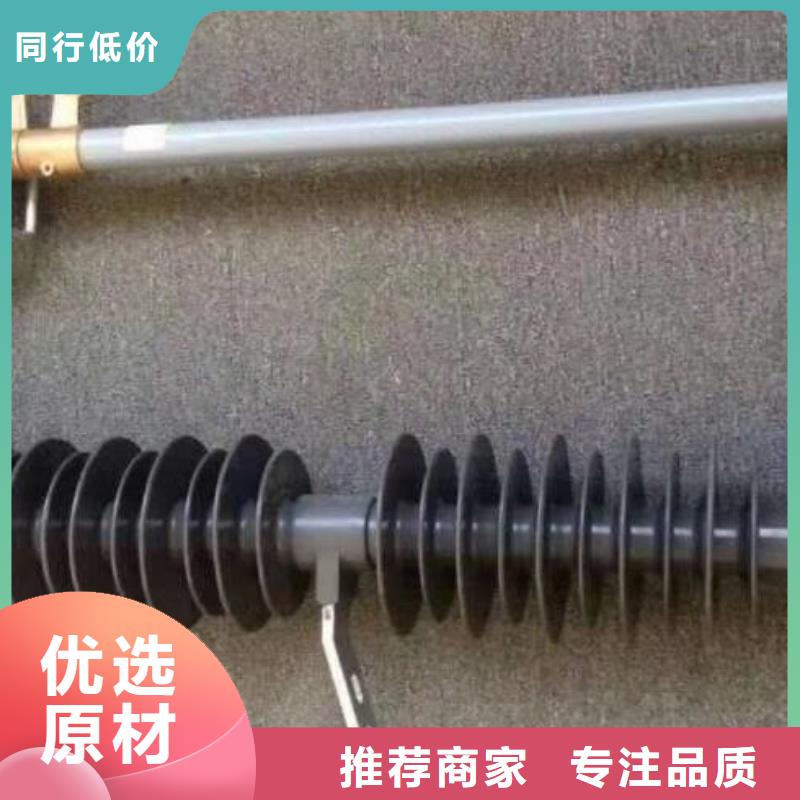 熔断器过电压保护器多年实力厂家