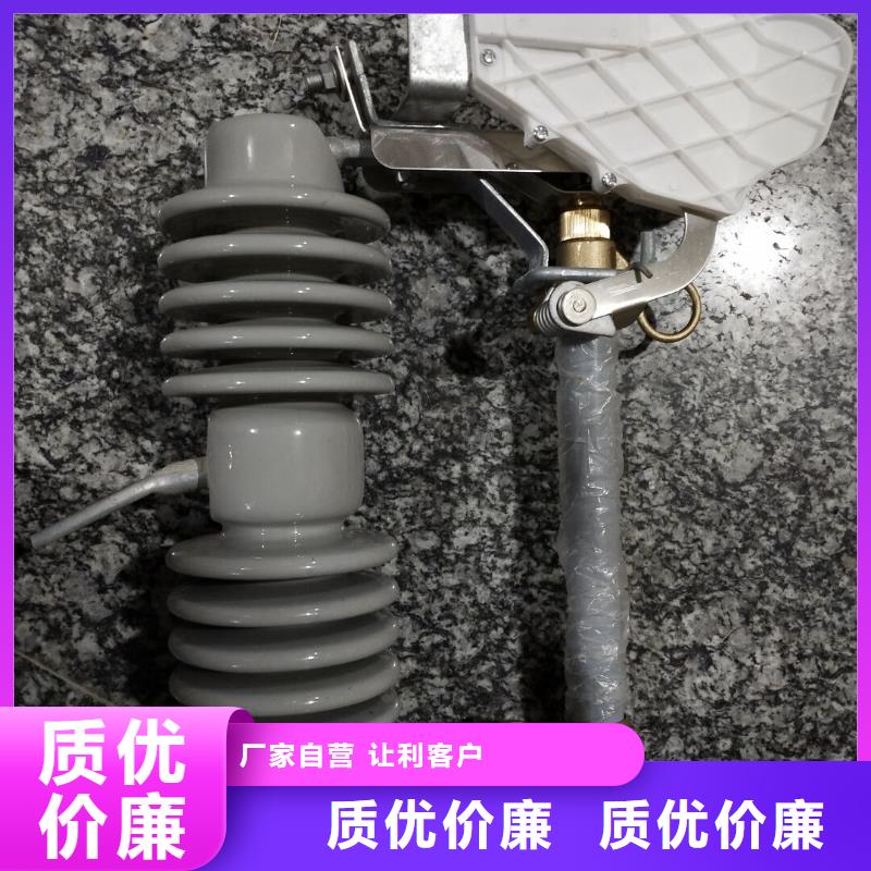 熔断器-真空断路器多年行业积累