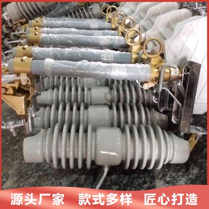 熔断器金属氧化物避雷器厂家实力大