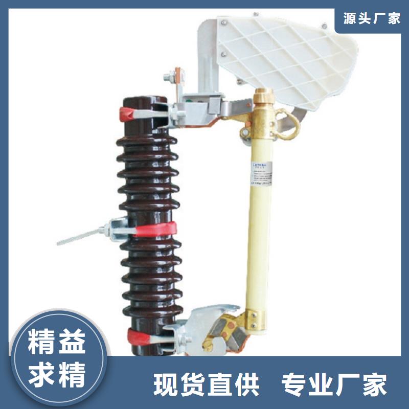 熔断器 高压真空断路器大厂生产品质