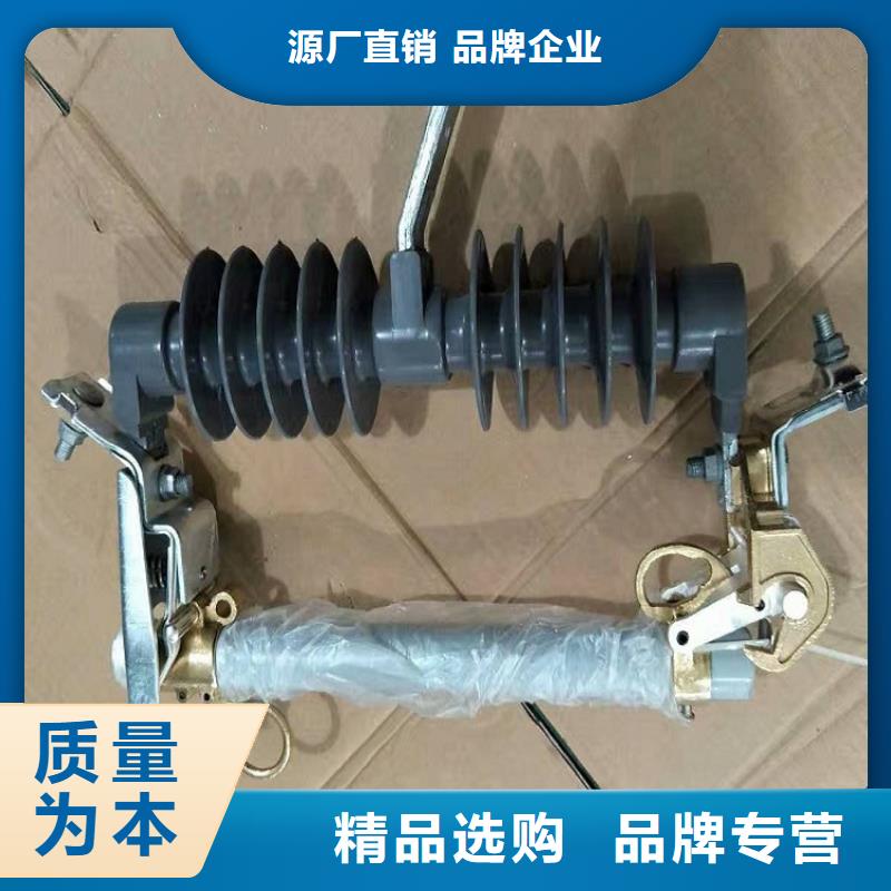 熔断器金属氧化物避雷器长期供应