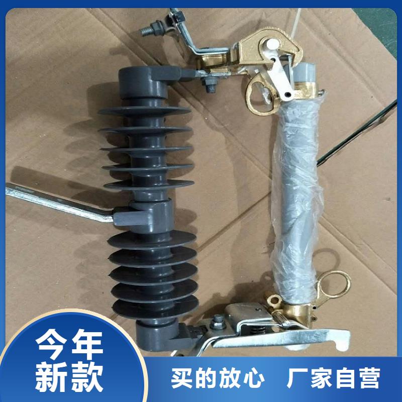 熔断器,金属氧化物避雷器专业生产厂家