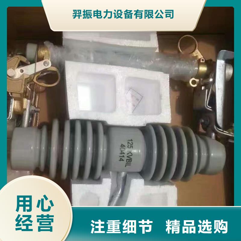熔断器金属氧化物避雷器放心得选择