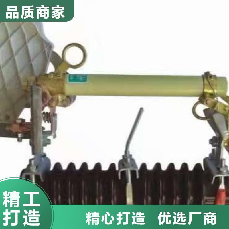 熔断器_电力金具为您提供一站式采购服务