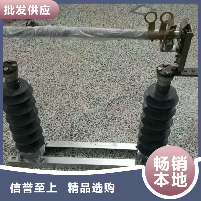 熔断器 高压真空断路器大厂生产品质