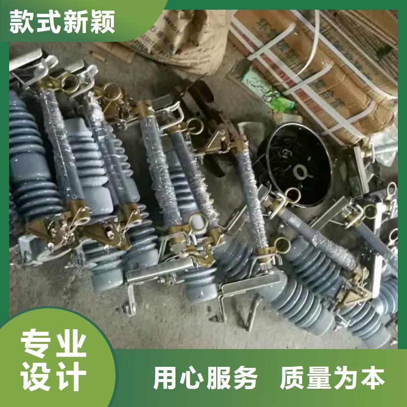 熔断器,金属氧化物避雷器专业生产厂家