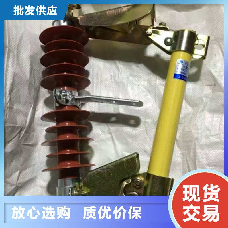 熔断器金属氧化物避雷器源头实体厂商