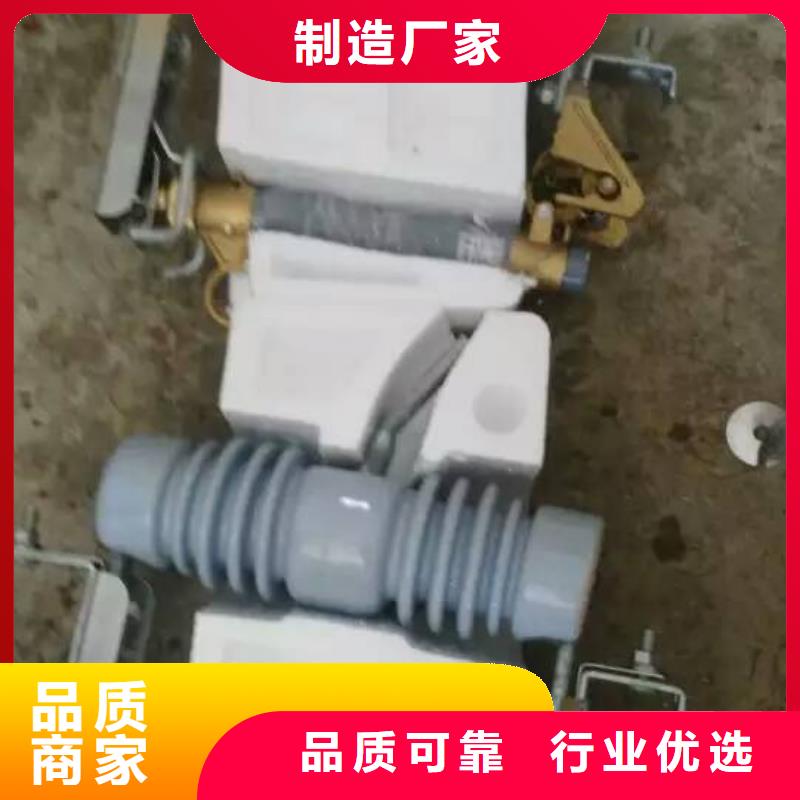 熔断器高压负荷开关我们更专业