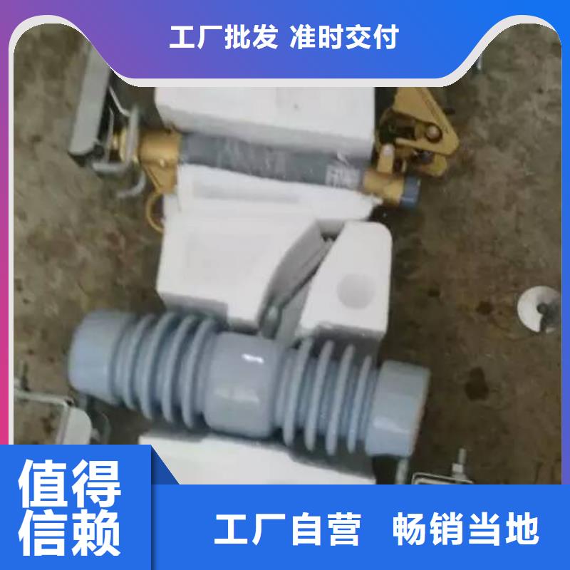 熔断器金属氧化物避雷器放心得选择