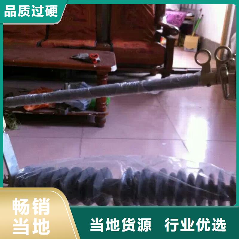 熔断器,金属氧化物避雷器专业生产厂家