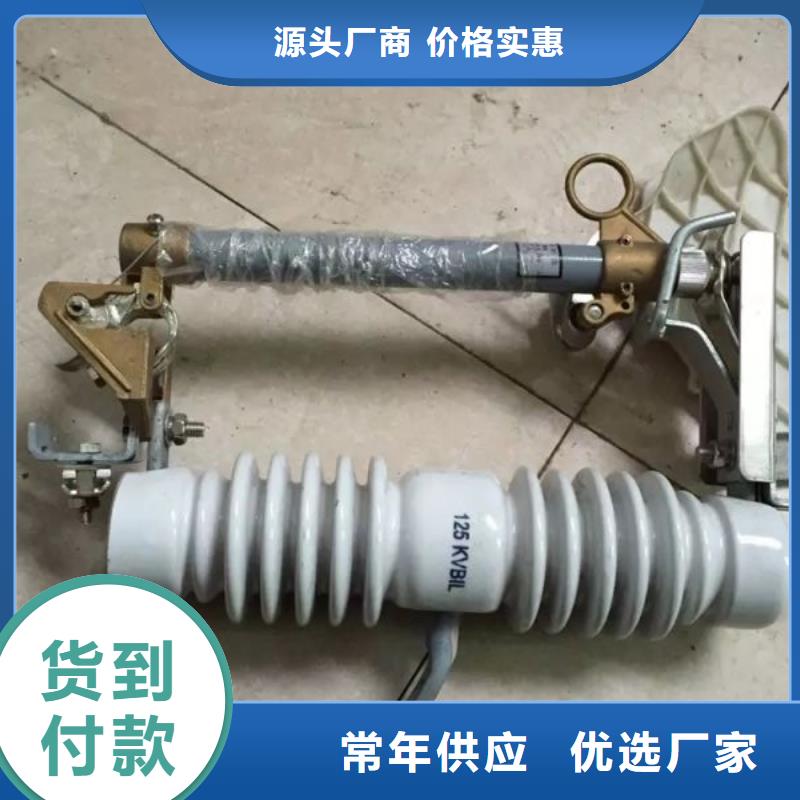 熔断器金属氧化物避雷器源头实体厂商