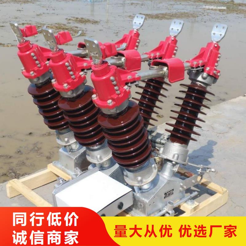 高压隔离开关GW5-40.5D/630A手动单接地防污型完善化.
