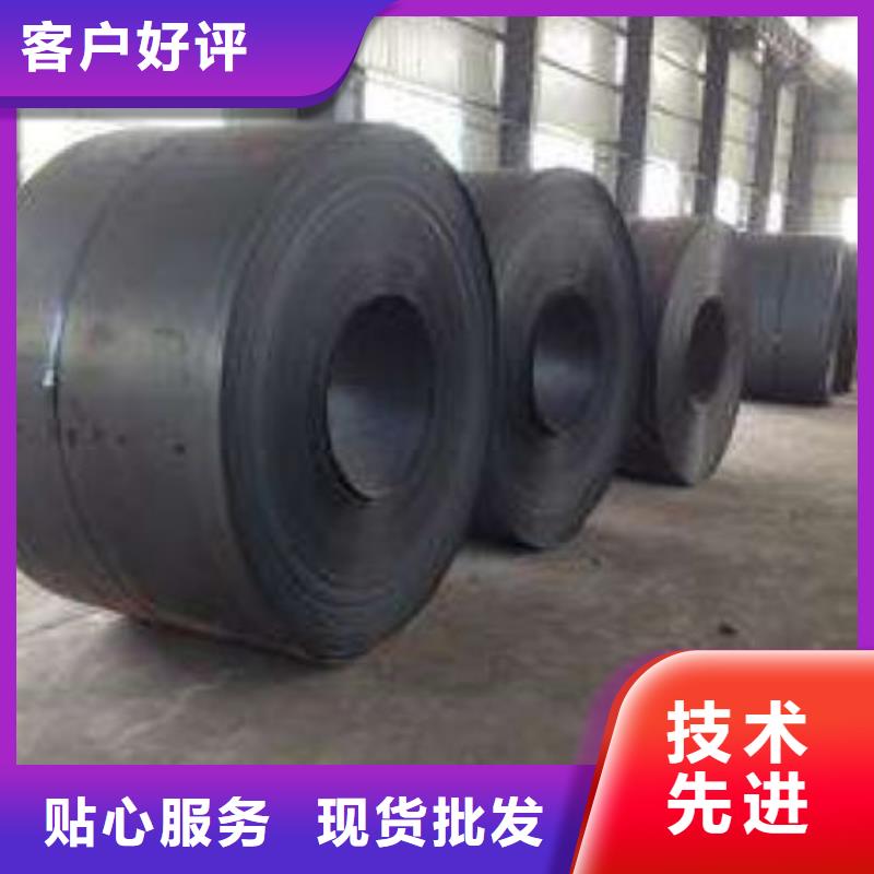 新能源硅钢电工钢	B20A250售后无忧