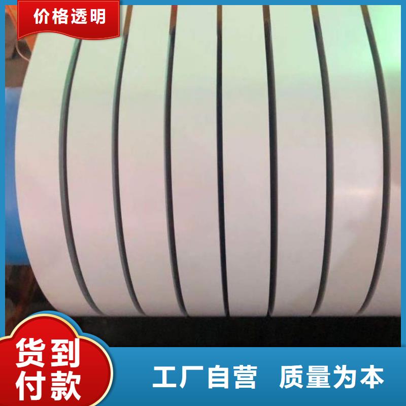 E型硅钢50WW250铁损