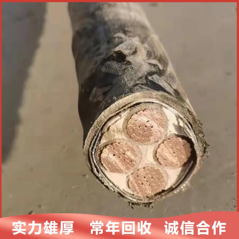 防火喷塑电缆桥架-视频-防火喷塑电缆桥架-辽宁省本地供应商-锦州|朝阳|鞍山|营口|铁岭|盘锦|沈阳