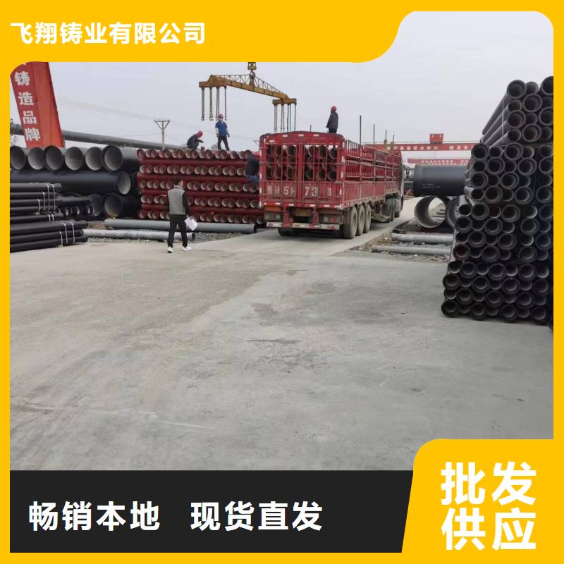 发货迅速球墨铸铁型材球墨铸铁棒一致好评产品-飞翔铸业有限公司