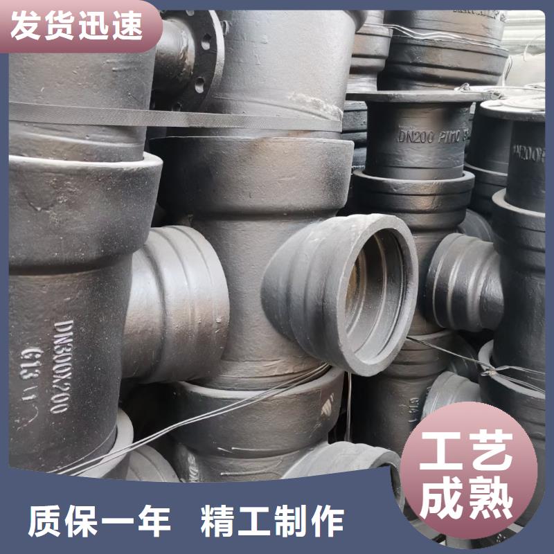 /DN600铸铁管T型推入式