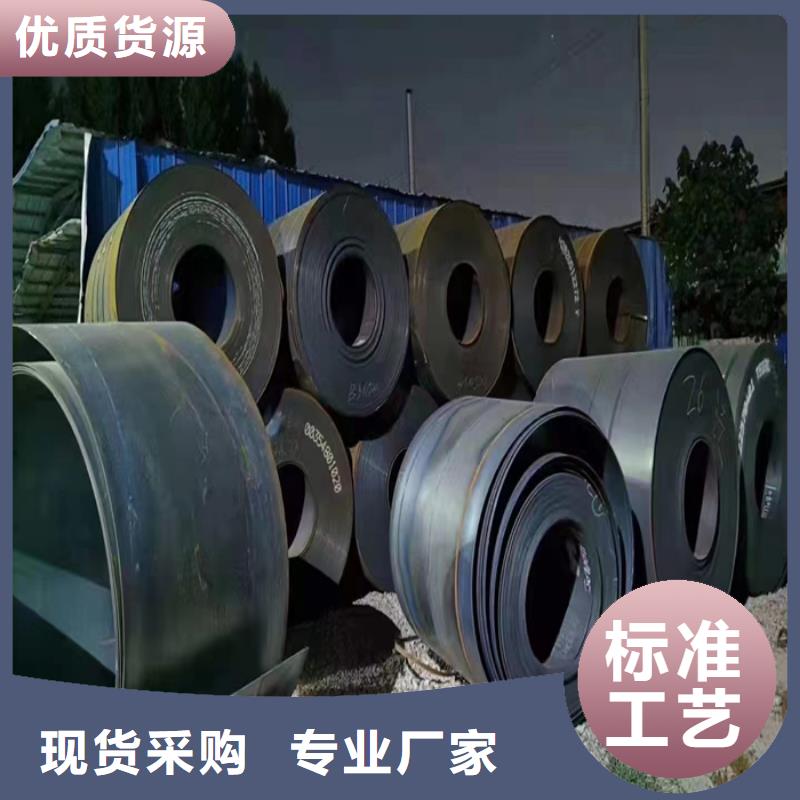 压榨机压板耐酸钢板	定制