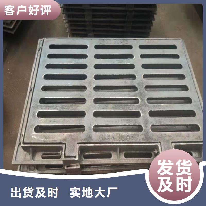 双开篦子球磨铸铁来样定制