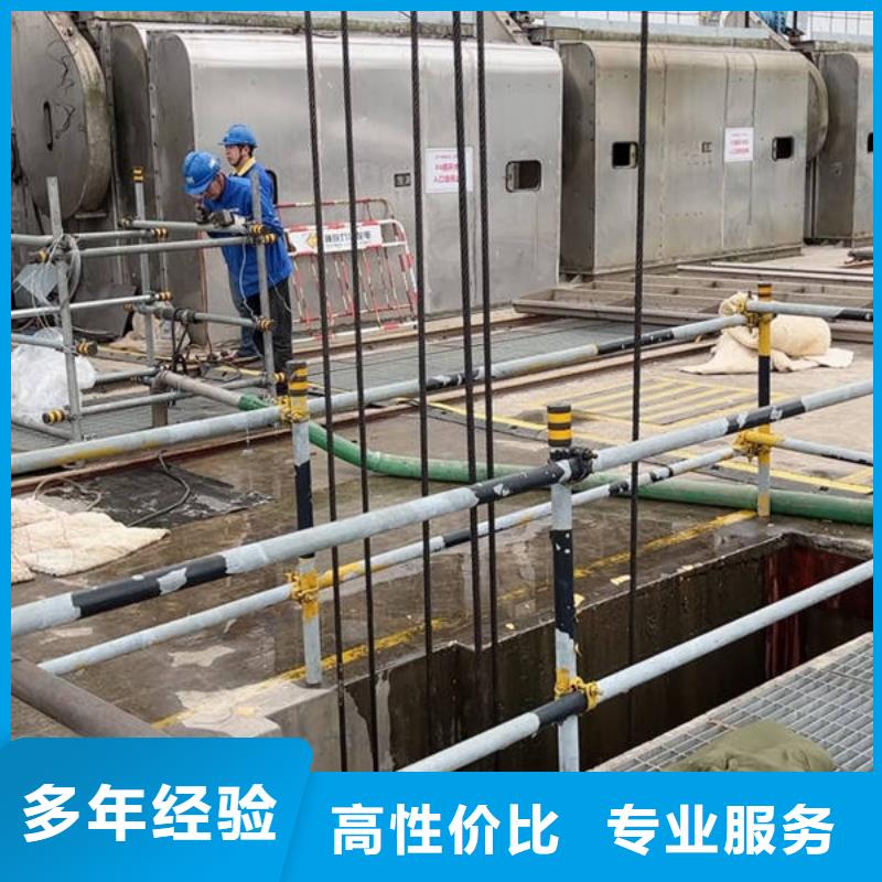 水下水下录像好评度高