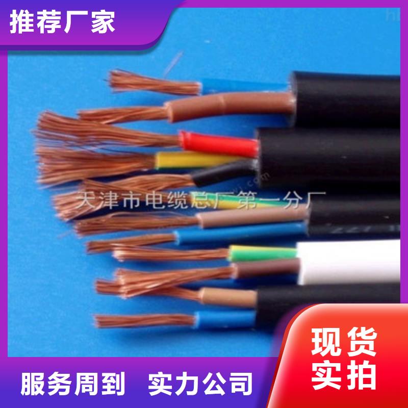 控制铜芯电缆YTV生产