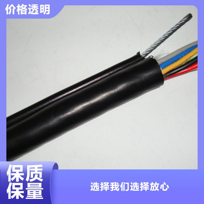 控制铜芯电缆YTV生产