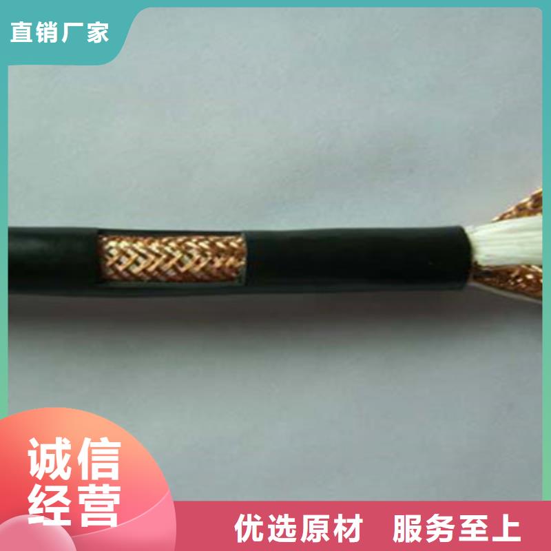 控制铜芯电缆YTV生产