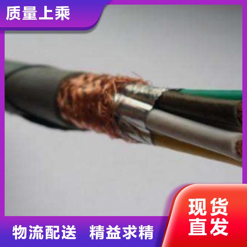 特种电缆阻燃电缆厂家匠心工艺