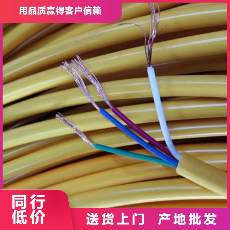 特种电缆通信电缆常年供应